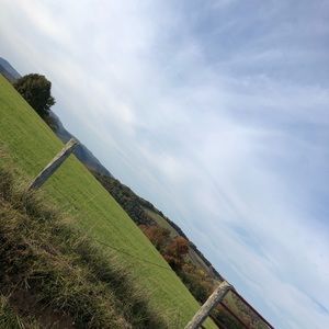 Meet your Posher, Louis